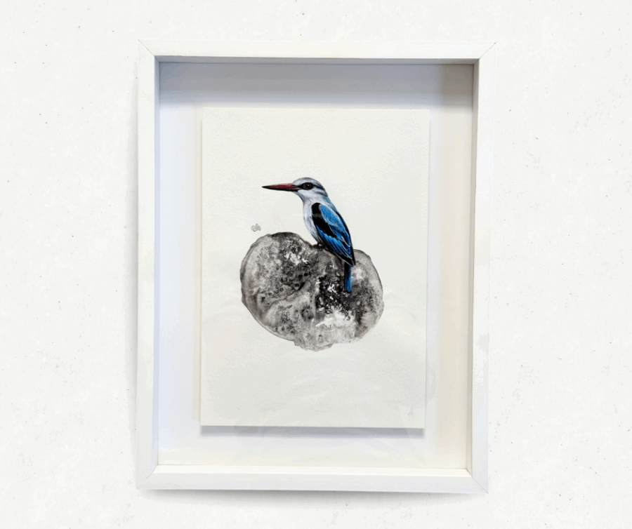 framed painting of a woodland kingfisher bird
