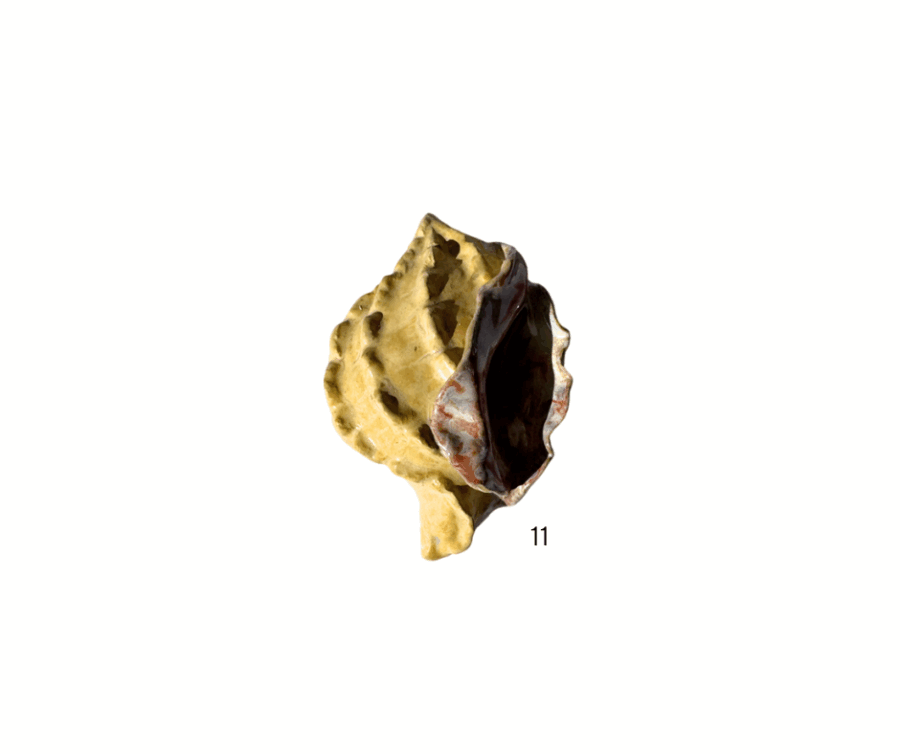 Wall Shells - Image 4