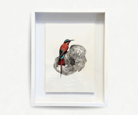 To Sweetly Sing (Carmine Bee eater)