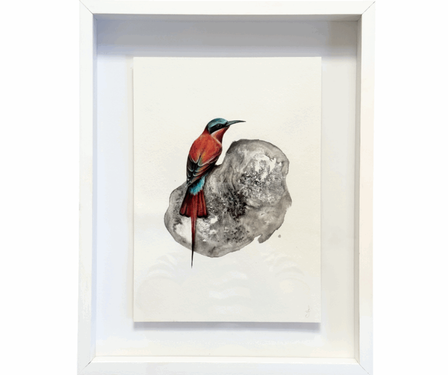 To Sweetly Sing (Carmine Bee eater) - Image 2