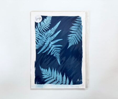 Cyanotype A4 "Fern Gully"