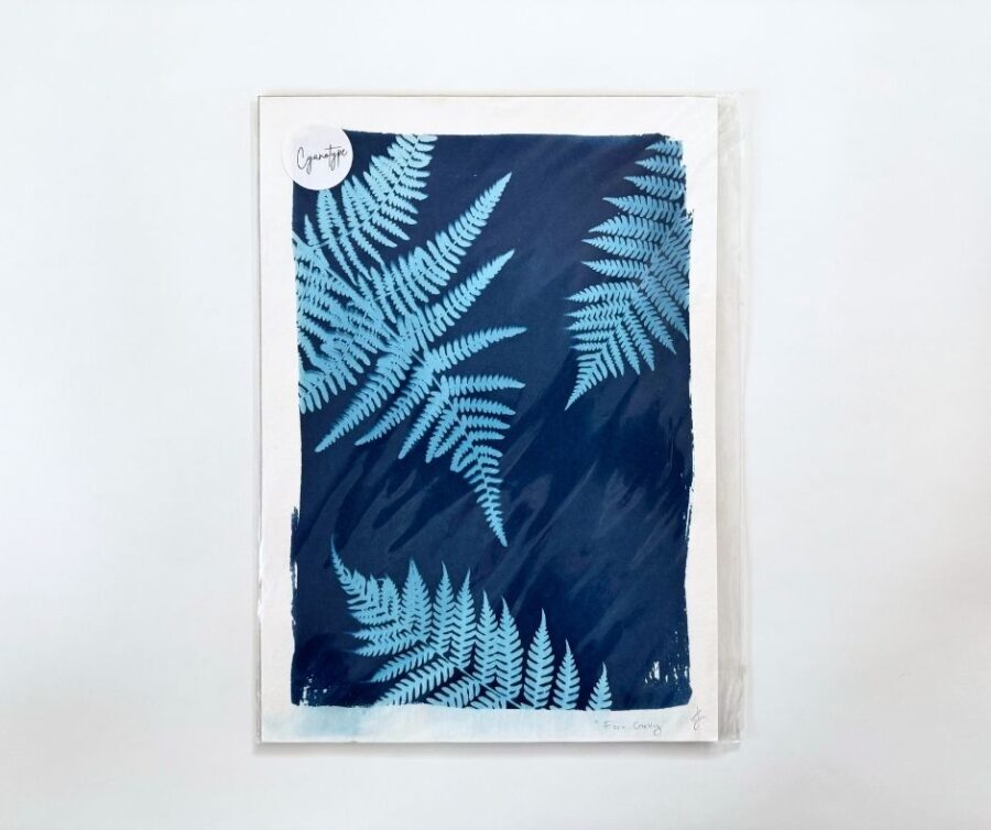 Cyanotype A4 "Fern Gully"