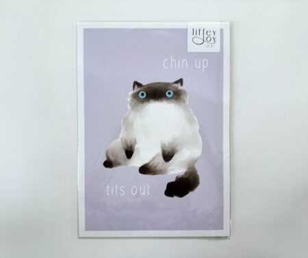 Print A4 "Chin Up Tits Out"