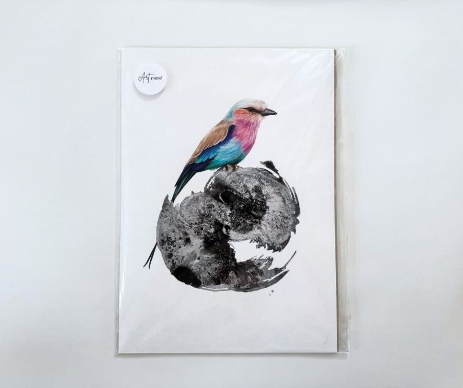 Print A4 "Lilac Breasted Roller"