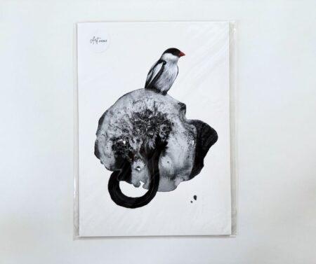 Print A4 "Pin Tailed Wyhdah"