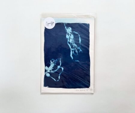 Cyanotype A5 "Sea Breeze II"