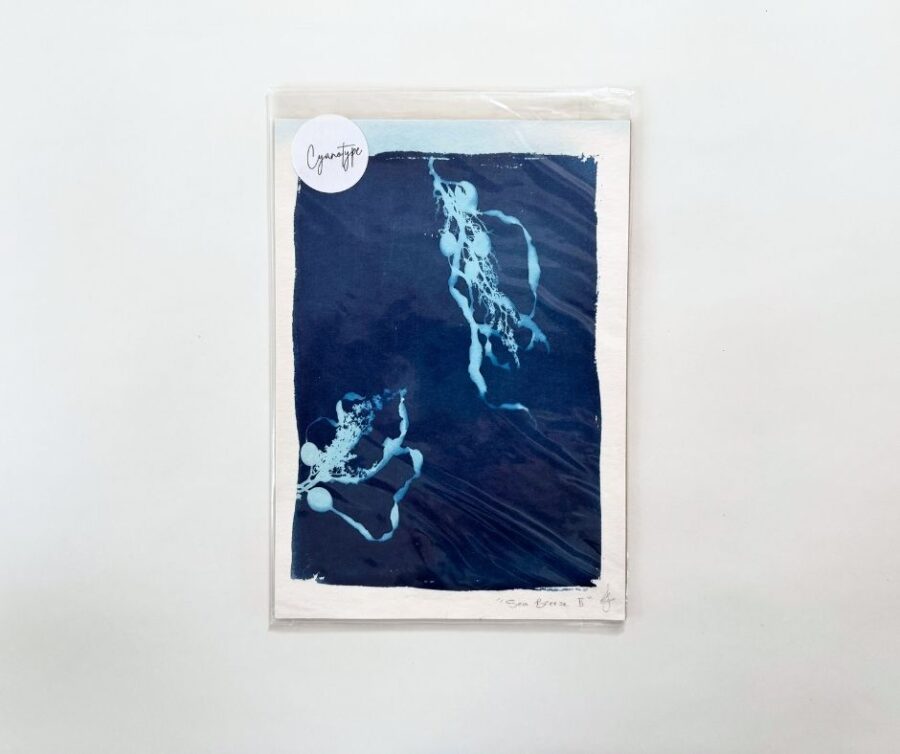 Cyanotype A5 "Sea Breeze II"