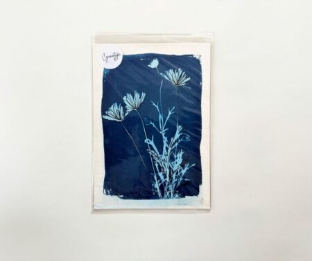 Cyanotype A5 "Meadow"