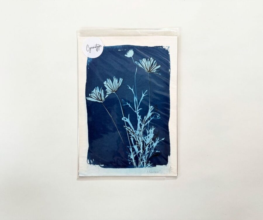 Cyanotype A5 "Meadow"