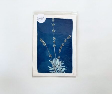 Cyanotype A5 "Lavender"