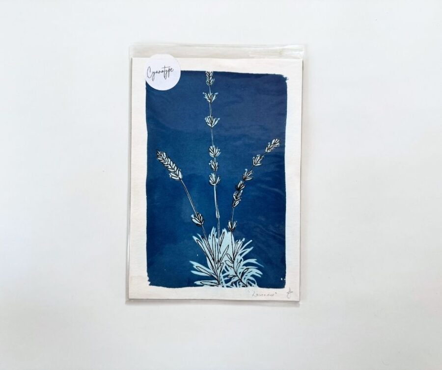 Cyanotype A5 "Lavender"