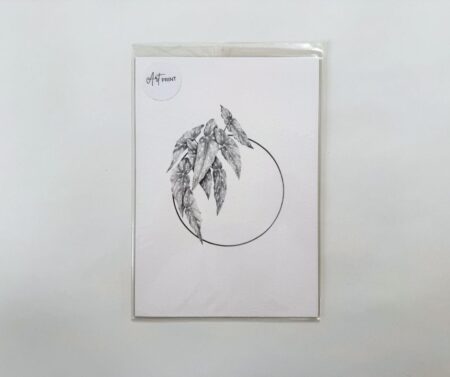 Print A5 "Plant VI"
