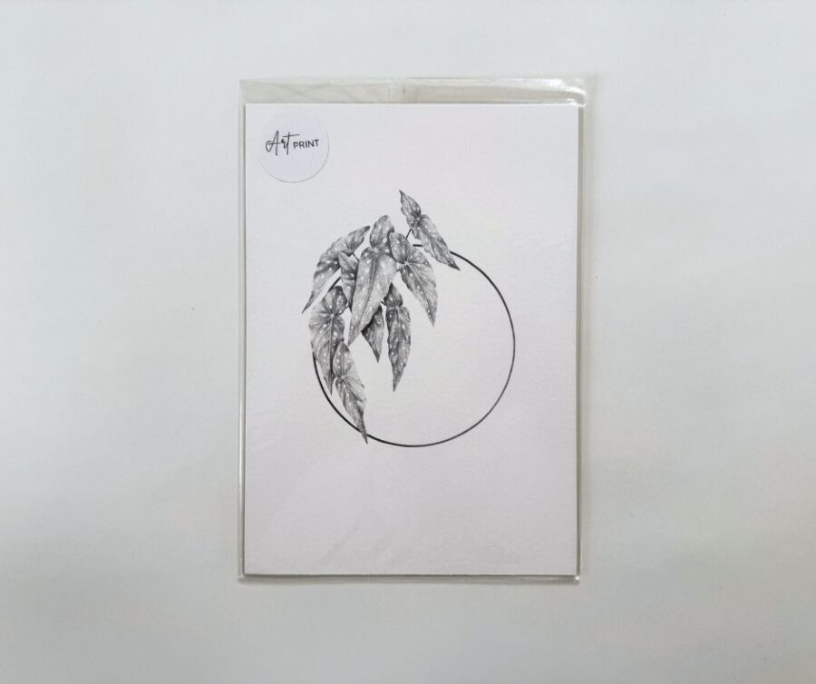 Print A5 "Plant VI"