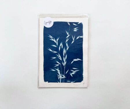 Cyanotype A5 "Chorus I"