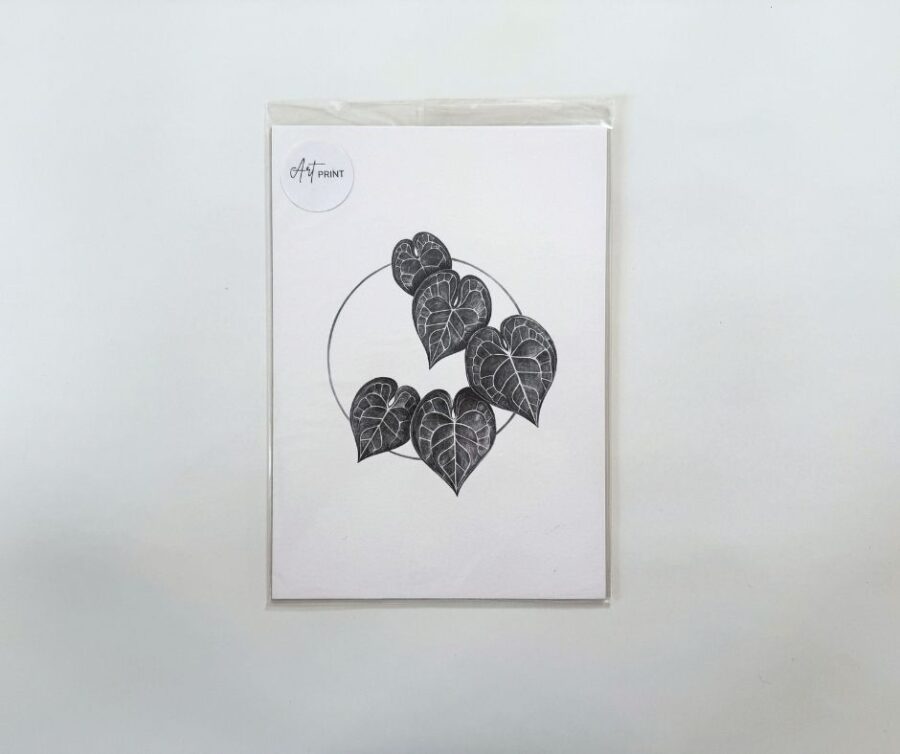 Print A5 "Plant III"