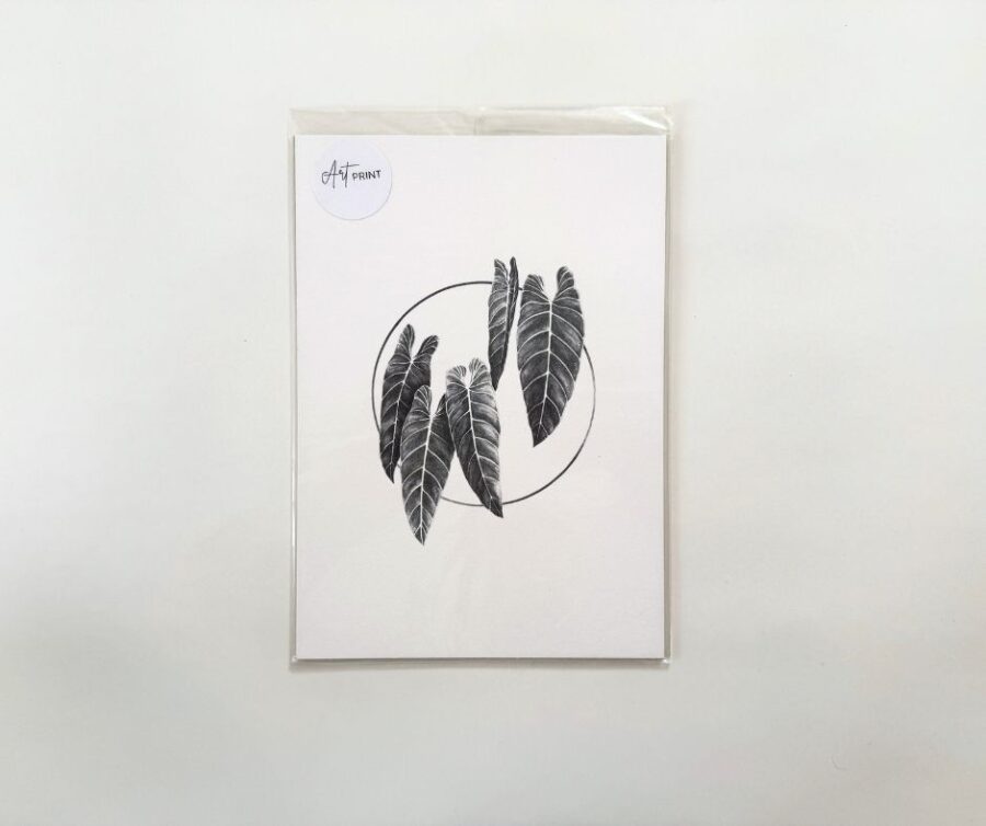 Print A5 "Plant II"