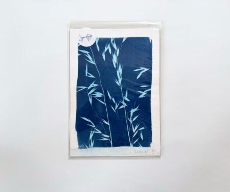 Cyanotype A5 "Chorus II"