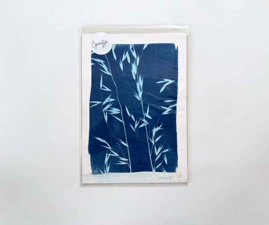 Cyanotype A5 "Chorus II"