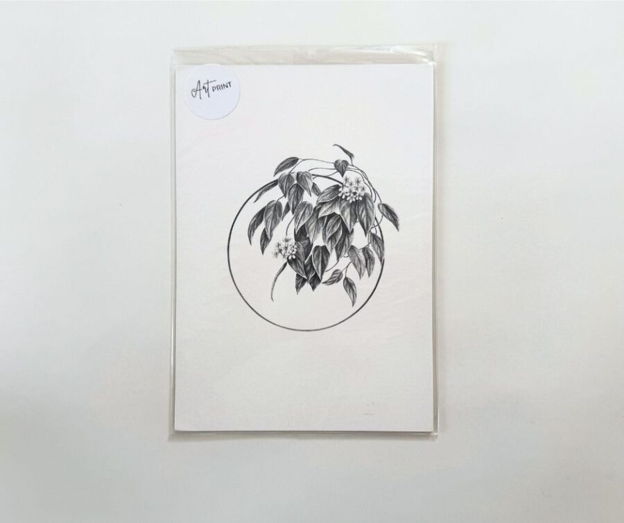 Print A5 "Plant I"