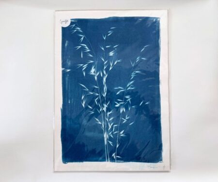 Cyanotype A3 "Savannah"