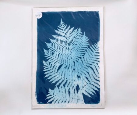 Cyanotype A3 "Petrichor"