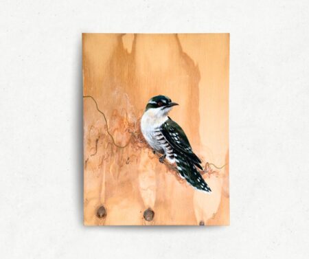artwork of a painted diedricks cuckoo on a pine panel