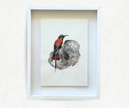 To Sweetly Sing Carmine Bee eater (framed)