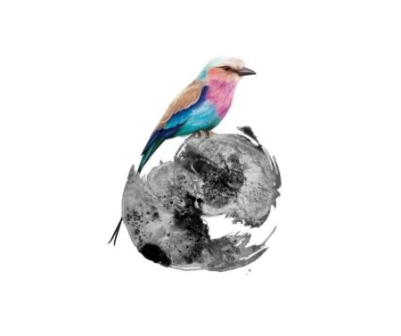 Lilac Breasted Roller