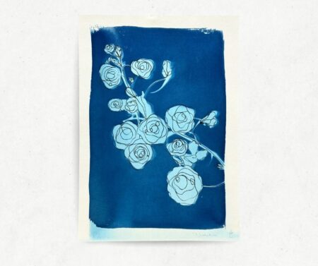 Cyanotype VI (A4)