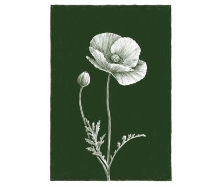 Poppy (green)
