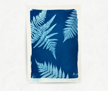 Cyanotype V (A4)