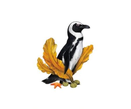 Penguin