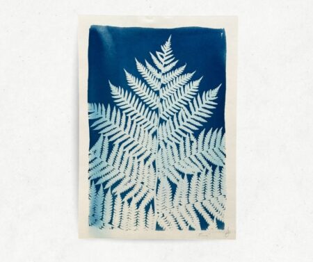 Cyanotype VII (A4)