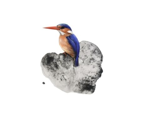 Kingfisher