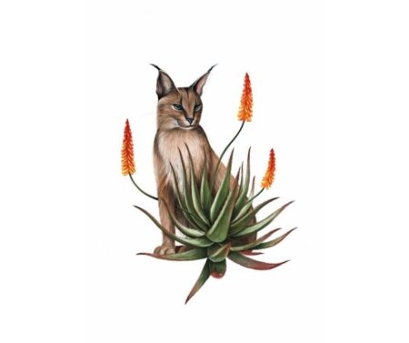 Caracal