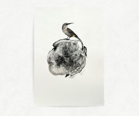 Nest II (A3)