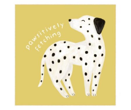 Pawsitively Fetching