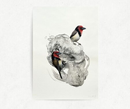Nest I (A3)