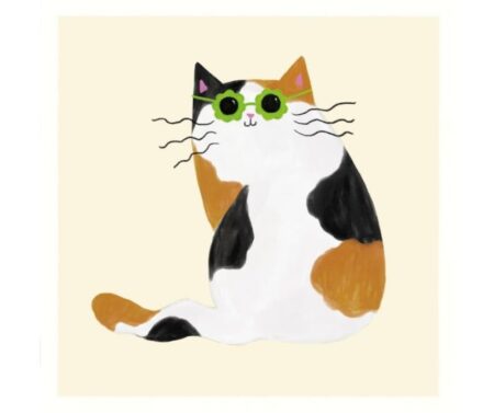Cool Cat II