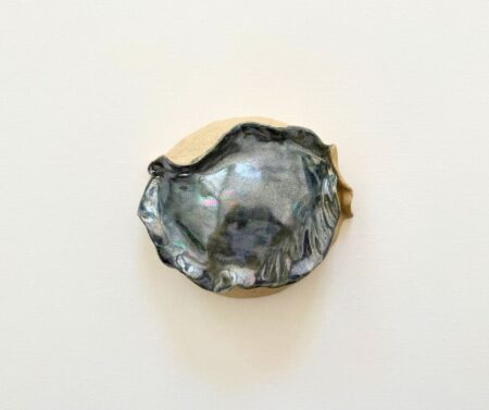 Wall Shell (small) I