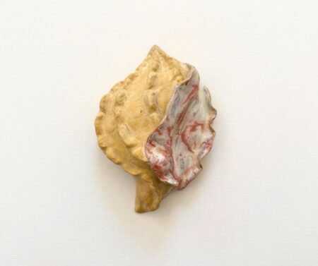 Wall Shell (freeform)