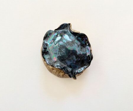 Wall Shell (small) VI