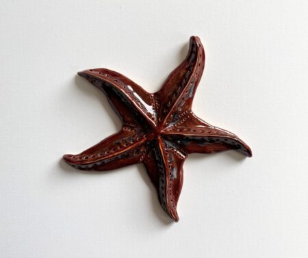 Treasures of the Rockpool